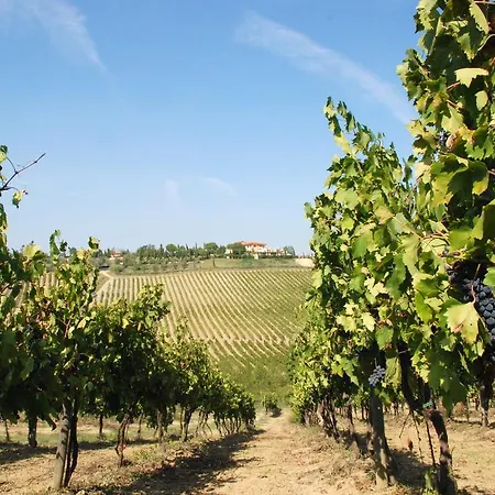 Isola Verde Cerreto Guidi