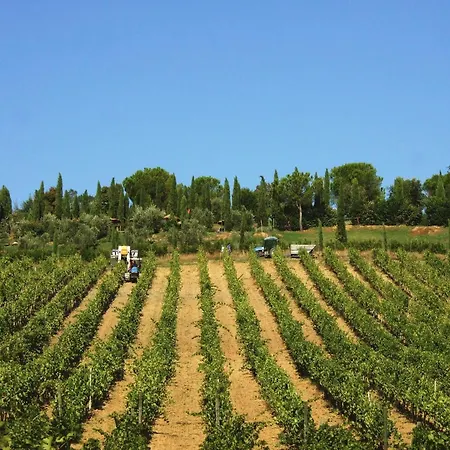 Farm stay Isola Verde Cerreto Guidi