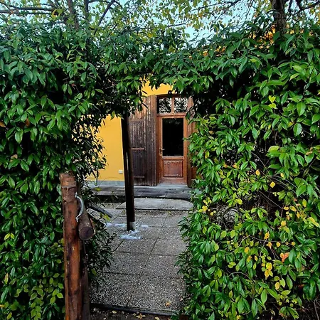 Isola *
